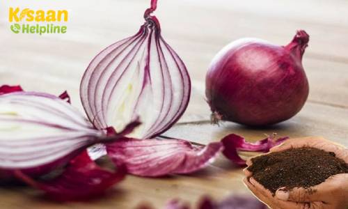 प्याज के छिलके से बना सकते है जैविक खाद, आइये जानते है खाद कैसे तैयार करे और प्रयोग करने का तरीका